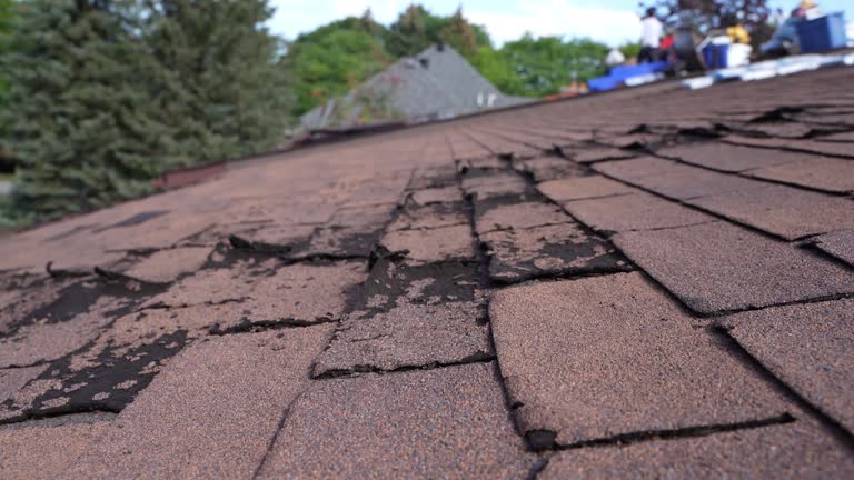 Best Sheet Metal Roofing  in Haskins, OH