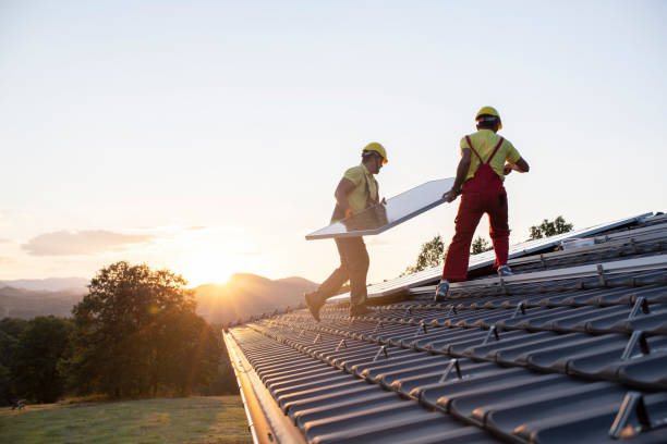Best Skylight Installation and Repair  in Haskins, OH