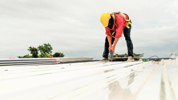 Best Wood Shake Roofing  in Haskins, OH
