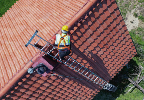 Best Metal Roofing Installation  in Haskins, OH
