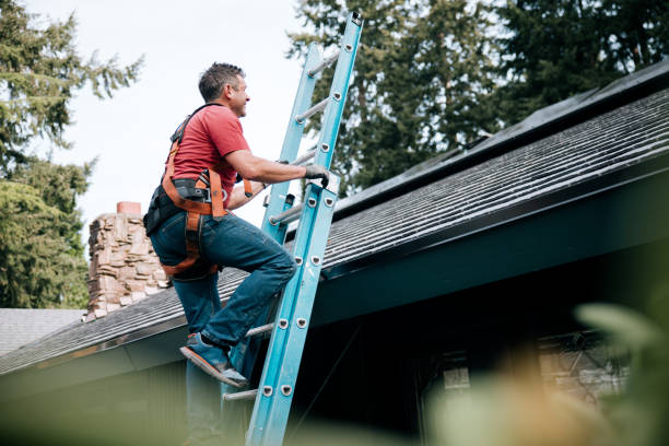 Best 4 Ply Roofing  in Haskins, OH