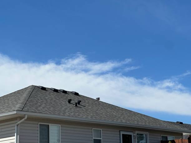 Best Metal Roofing Installation  in Haskins, OH